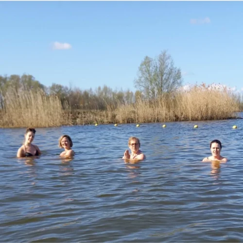 fitdip (1) FIT en DIP